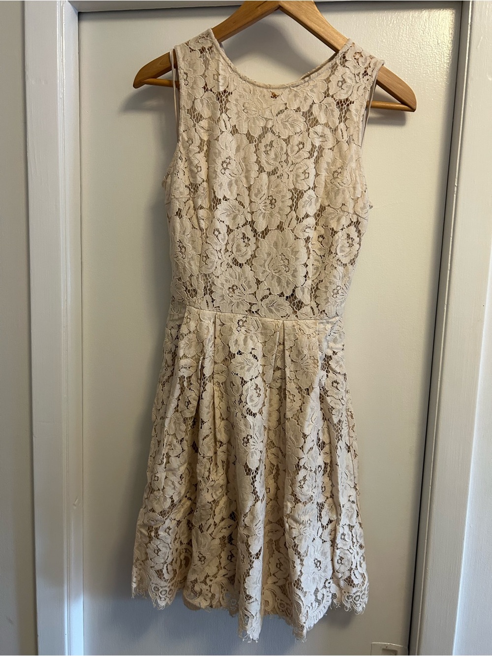 Hitherto Sleeveless Lace Mini Dress in Cream
